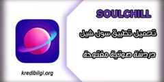 تحميل تطبيق سول شيل soulchill 2024 للدردشة